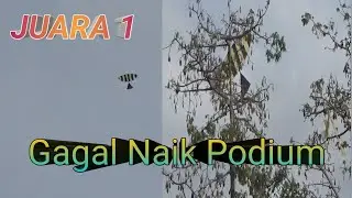 Tanding layang layang di balanti parak rumbio#anjang channel