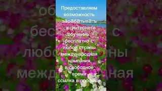 Если вам нужны деньги тогда сделаем в долгах и кредитах я вам расскажу как заработать