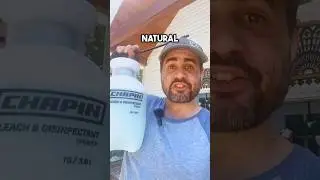 The BEST natural weed killer recipe! Better than roundup! #shorts #gardening