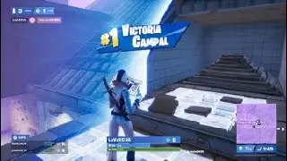 Fortnite buena partida