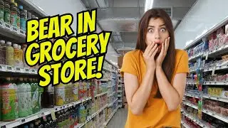 A Wild Bear in Florida Grocery Store