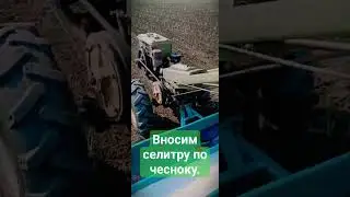 6 марта 2024 г.