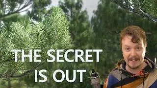 How to make Custom Nanite Vegetation in Unreal 5.7