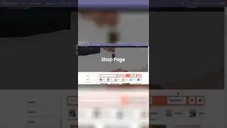 Geminate Realtospace Theme - Technical Part 10 (Ecommerce Shop)