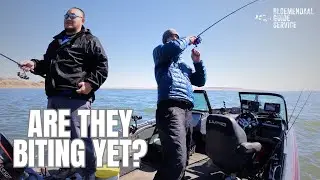 Early Spring Walleyes at Mobridge (Lake Oahe)