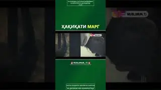 Ансори хакикати марг
