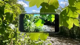 iPhone SE (2020) - Ultimate Video Test!