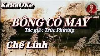 Karaoke Bông Cỏ May _ Chế Linh