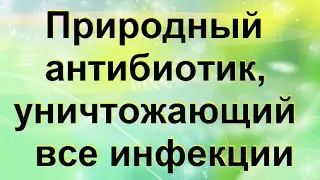 Природный антибиотик, который уничтожает все инфекции мочевого пузыря и почек.