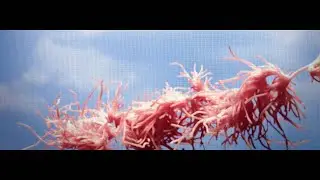 Joakim - Make It Slow (Official Video)