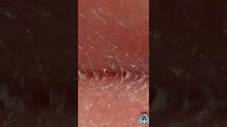 Con Que Así Se Mira.#viral #shorts #camara #curiosidades