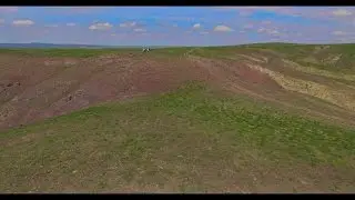 Малайсары - обзор, грибы и не только