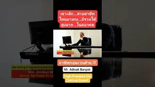 สายงานด้านIT 