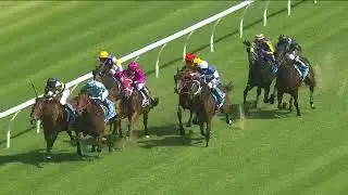 Estadio Mestalla Wins Race 7 at Rosehill on Saturday 3rd Feb for the NSW Tycoons