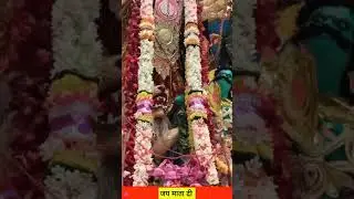 ♥️Durga ma 🌹Navratri Puja ❣️ status 🚩 #durga #matarani #navratri  🙏#viral #navratrispecial #maa