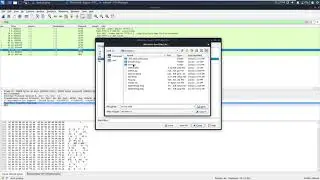 CUTEDUCK PCAP || SECURE BUG CTF 2021 || NEW YEAR CHALLENGE || WALKTHROUGH