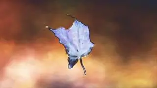 HORSEHEAD, LIL PEEP, & Lil Tracy - LAST FALL (MUSIC VIDEO)
