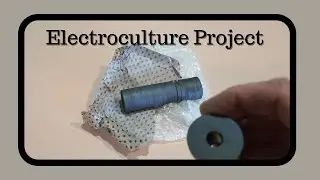 Our  New Electroculture Project