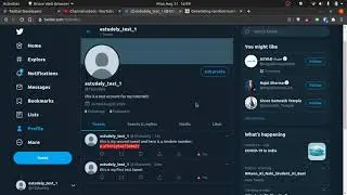 Making a Twitter Bot: First Tweet, Further Improvements (Part 2)