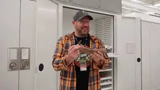 Dinosaur Damage and Defense at NHMU