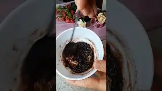 Sutli Kakao. Какао