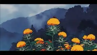 j^p^n - bloom [] - Second part only Extended (Slowed)