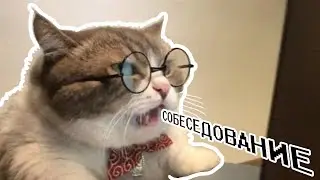 Собеседование (озвучка комикса)