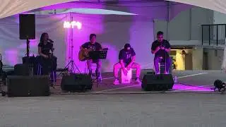 Dreams Acoustic Cover