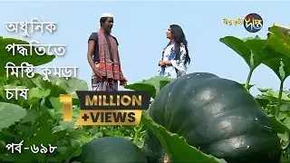 Deepto Krishi/দীপ্ত কৃষি-  আধুনিক পদ্ধতিতে মিষ্টি কুমড়া চাষ | পিরোজপুর | deepto tv