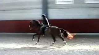 Ramdam 5 ans