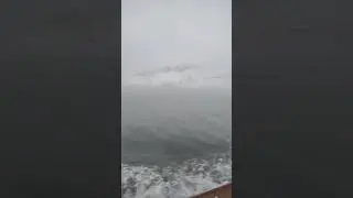 Водолазы тоже люди, добыча морских деликатесов
