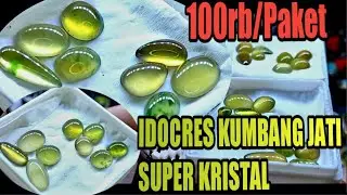Paket Hemat IDOCRES Lumut Kumbang Jati SUPER KRISTAL SUPER MURAH..