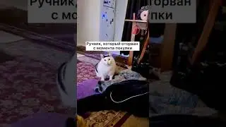 Когда вложил в жигу 150к