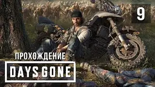 Встреча с О'Брайаном • Days Gone • #9