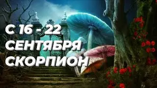 ❤️СКОРПИОН. ♏️С 16 - 22 сентября 2024.♏️