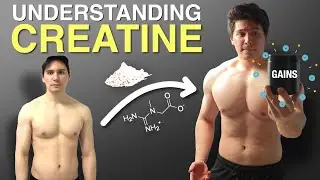 What Is Creatine And What Can It Do For You? | Creatine Explained
