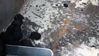 Презентация бездымного топлива в Улан-Удэ