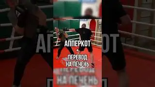 Апперкот + печень #бокс #training #школабокса #мма #спорт #fitness #бой #апперкот #удар #boxing