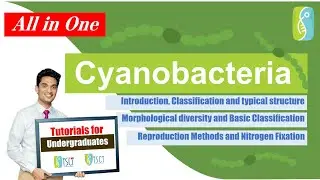 Cyanobacteria : All in one (Sinhala)