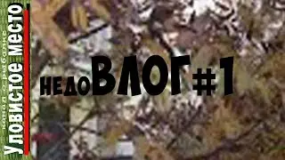 недоВЛОГ 1. краткое описание моего не рыболовного дня;)