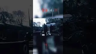 тг про тесака в первом норм видео#тесак #максиммарцинкнаич #спорт #окупайпедофиляй #марцинкевич