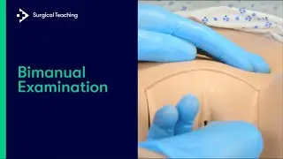 How to Perform a Bimanual Exam