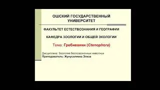Тип Гребневики