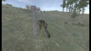 #сталкер_баг_