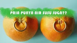 FUNGSI PVTING PRIA #SERUPEDIA