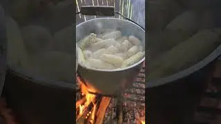 Glutinous corn, my farmers' family lifestyle 