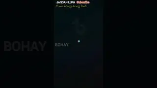 bohay banget new