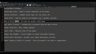 OOTB12: HOW TO CREATE CUSTOM OBJECT AND CUSTOM FIELDS 2025 IN SFDC || STEP BY STEP TUTORIAL
