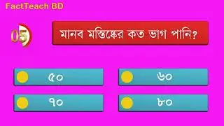 Human brain Fact