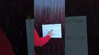 30 августа 2024 г.